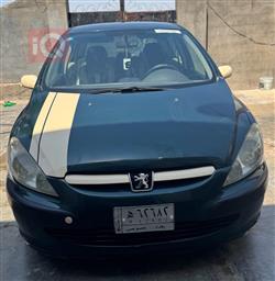 بیجۆ 307